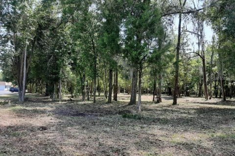 Terreno en venta en Ocala, Florida № 1398887 - foto 10