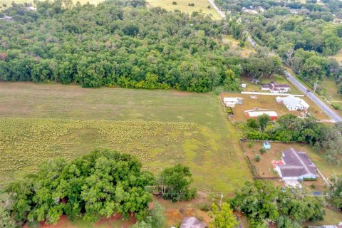 Land in Dade City, Florida № 1246141 - photo 11