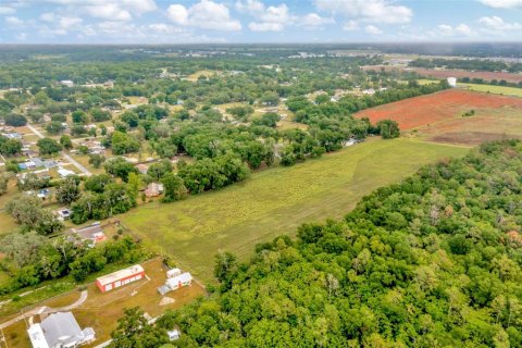 Terreno en venta en Dade City, Florida № 1246141 - foto 9