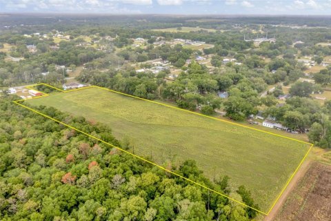 Land in Dade City, Florida № 1246141 - photo 1