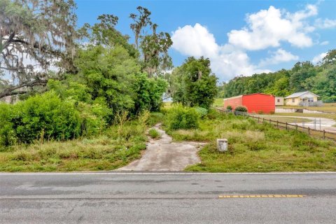 Land in Dade City, Florida № 1246141 - photo 23