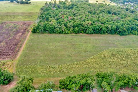 Terreno en venta en Dade City, Florida № 1246141 - foto 10