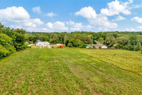 Land in Dade City, Florida № 1246141 - photo 14