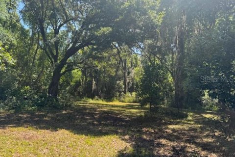 Terreno en venta en Dade City, Florida № 1249176 - foto 4