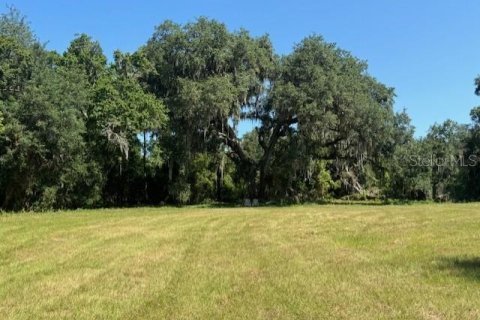 Land in Dade City, Florida № 1249176 - photo 10