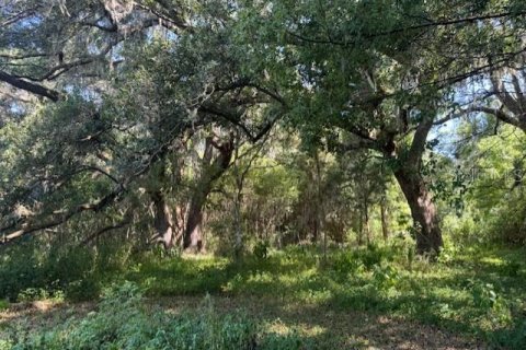 Terrain à vendre à Dade City, Floride № 1249176 - photo 6