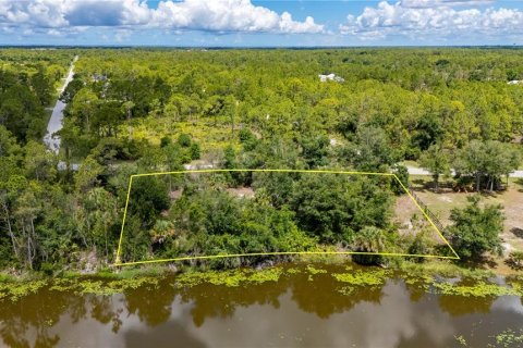 Terrain à vendre à Punta Gorda, Floride № 1249177 - photo 6