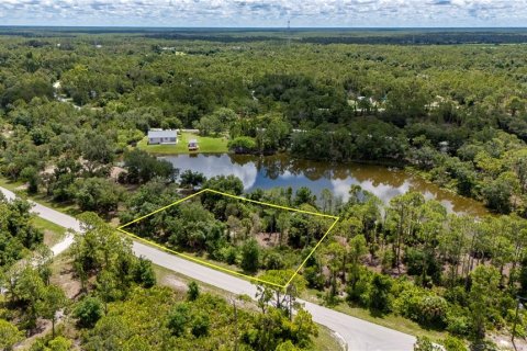 Terrain à vendre à Punta Gorda, Floride № 1249177 - photo 2