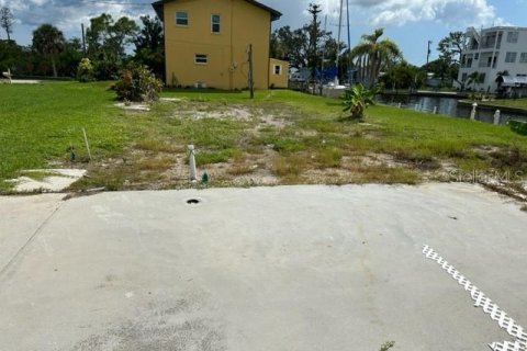 Terreno en venta en Port Charlotte, Florida № 649590 - foto 7