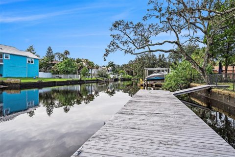 Villa ou maison à vendre à New Port Richey, Floride: 2 chambres, 132.76 m2 № 1352831 - photo 8