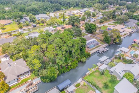 Terreno en venta en Edgewater, Florida № 1259901 - foto 7