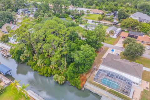 Terreno en venta en Edgewater, Florida № 1259901 - foto 5