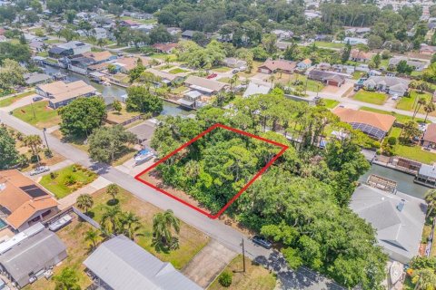 Terreno en venta en Edgewater, Florida № 1259901 - foto 8