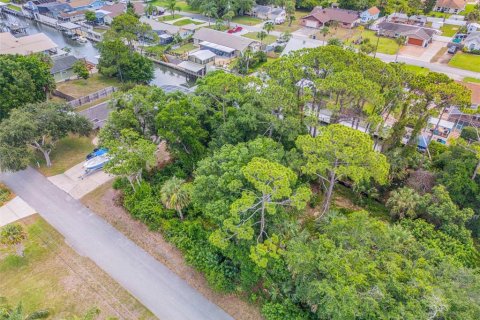 Terreno en venta en Edgewater, Florida № 1259901 - foto 3