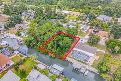 Terreno en venta en Edgewater, Florida № 1259901 - foto 6