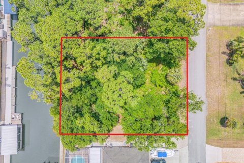 Terreno en venta en Edgewater, Florida № 1259901 - foto 10