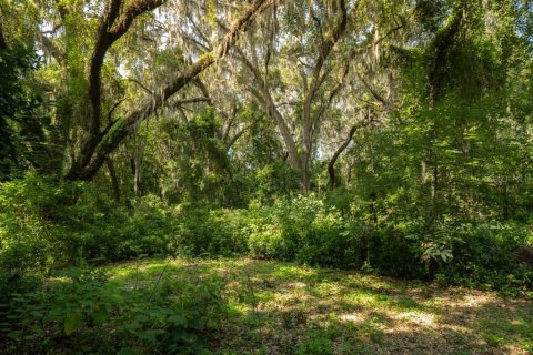 Terrain à vendre à Melrose, Floride № 1326704 - photo 5