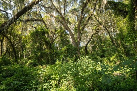 Terrain à vendre à Melrose, Floride № 1326704 - photo 6