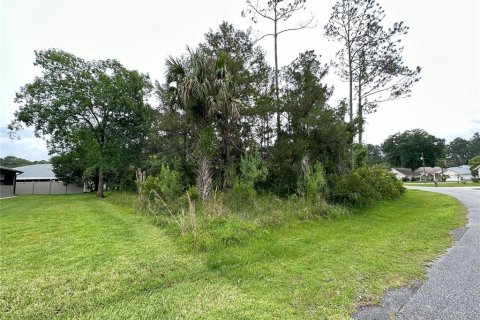 Land in Palm Coast, Florida № 1193133 - photo 7