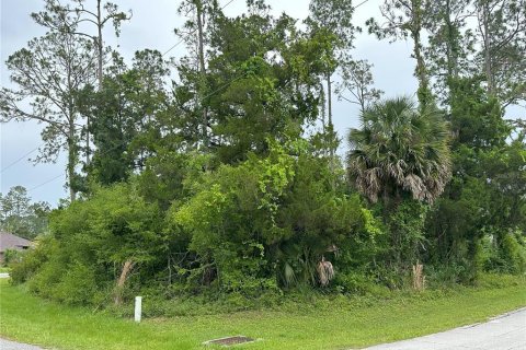 Land in Palm Coast, Florida № 1193133 - photo 5