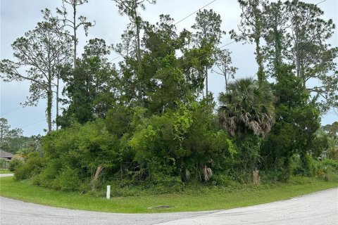 Land in Palm Coast, Florida № 1193133 - photo 9