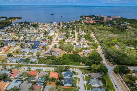 Villa ou maison à vendre à Palm Harbor, Floride: 2 chambres, 117.52 m2 № 1258853 - photo 2