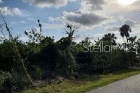 Terreno en venta en Port Charlotte, Florida № 1115591 - foto 6