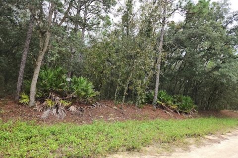 Terreno en venta en Dunnellon, Florida № 1382748 - foto 1