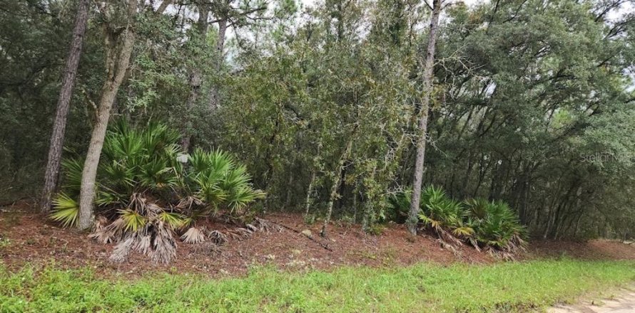 Land in Dunnellon, Florida № 1382748