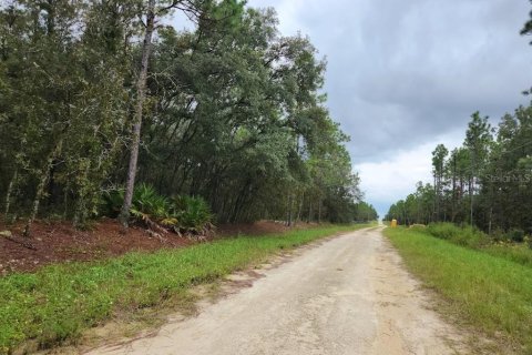 Terrain à vendre à Dunnellon, Floride № 1382748 - photo 2