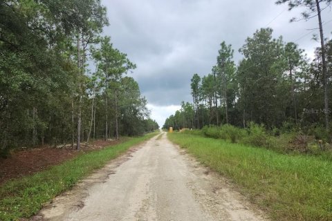 Terrain à vendre à Dunnellon, Floride № 1382748 - photo 5