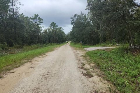 Terreno en venta en Dunnellon, Florida № 1382748 - foto 4