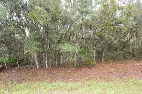 Terrain à vendre à Dunnellon, Floride № 1382748 - photo 6