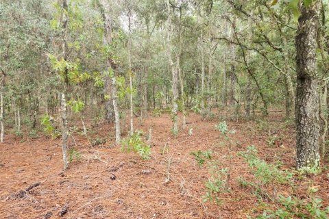 Terrain à vendre à Dunnellon, Floride № 1382748 - photo 3