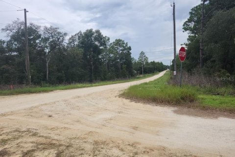 Terrain à vendre à Dunnellon, Floride № 1382747 - photo 4