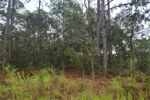 Terreno en venta en Dunnellon, Florida № 1382747 - foto 6