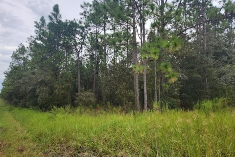 Land in Dunnellon, Florida № 1382747 - photo 3