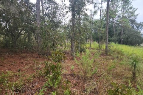 Terreno en venta en Dunnellon, Florida № 1382747 - foto 8