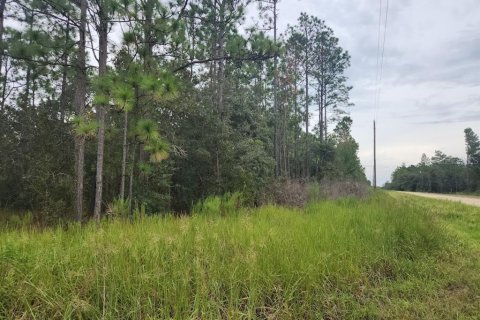 Terrain à vendre à Dunnellon, Floride № 1382747 - photo 2