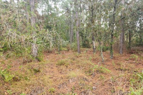 Terreno en venta en Dunnellon, Florida № 1382747 - foto 7