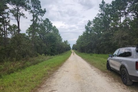 Terrain à vendre à Dunnellon, Floride № 1382747 - photo 5