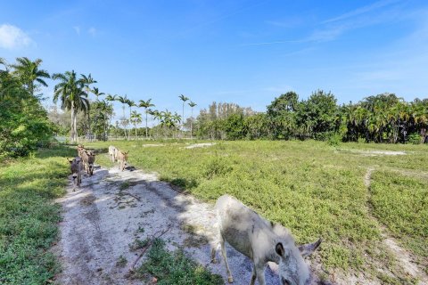 Купить земельный участок в Саутвест-Ранчес, Флорида № 1017022 - фото 9