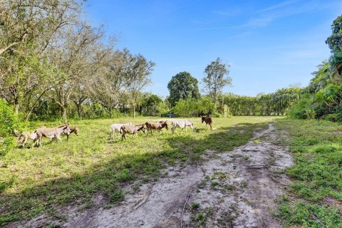 Terrain à vendre à Southwest Ranches, Floride № 1017022 - photo 19