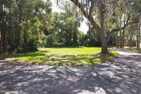 Land in Crystal River, Florida № 1290142 - photo 20