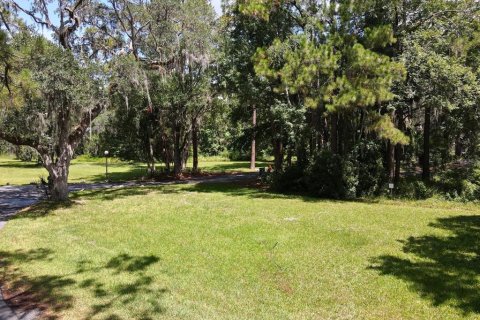 Land in Crystal River, Florida № 1290142 - photo 21