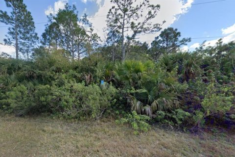 Terrain à vendre à Punta Gorda, Floride № 1376818 - photo 2