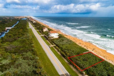 Terrain à vendre à Palm Coast, Floride № 245063 - photo 3