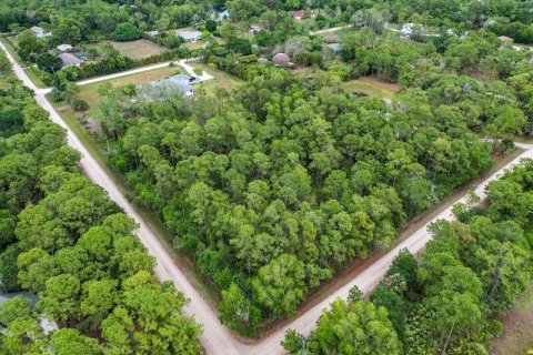 Land in Jupiter, Florida № 808397 - photo 3