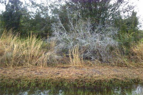 Land in Okeechobee, Florida № 1317654 - photo 3