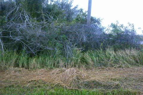 Terreno en venta en Okeechobee, Florida № 1317654 - foto 4